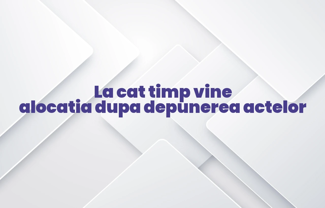 la cat timp vine alocatia dupa depunerea actelor