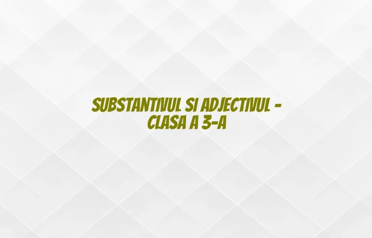 substantivul si adjectivul clasa a 3 a
