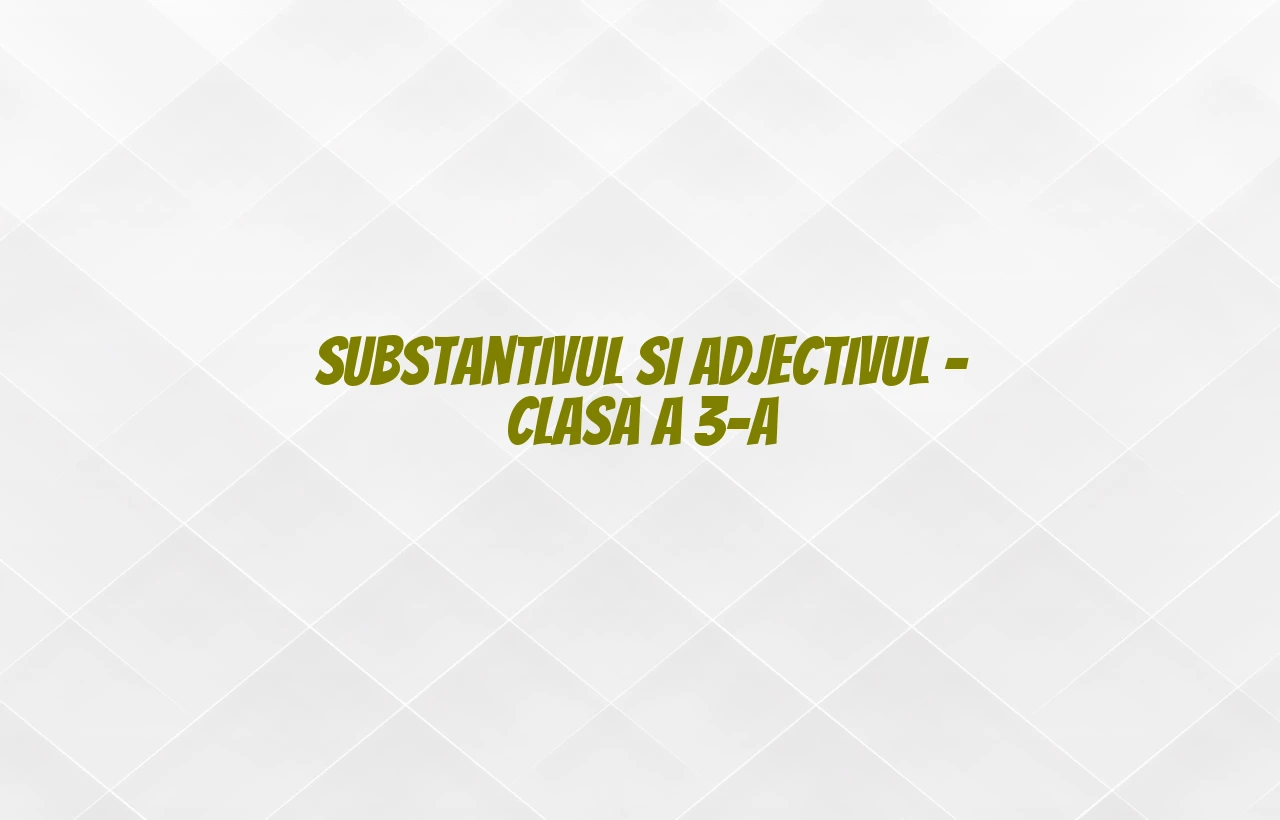 substantivul si adjectivul clasa a 3 a