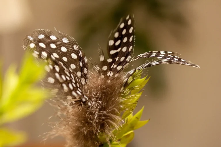 criza economica